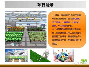 智慧溫室 手機上種菜 溫室里發(fā)財