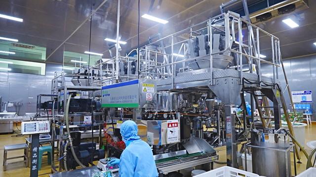 成武:農產品加工智能化 激發鄉村振興新活力