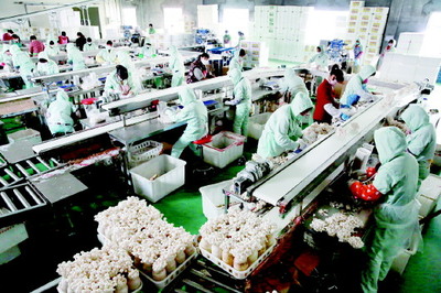 廣饒縣加快發展現代農業 推進鄉村產業振興