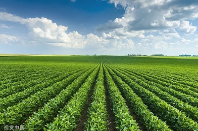 十月新規,來了!房貸利率調整新規實施!