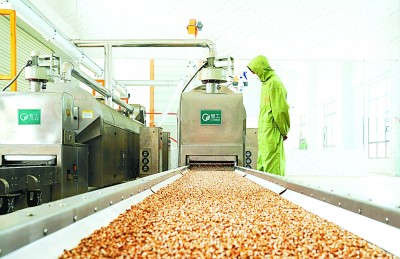 全面小康 一起幸福|上海援疆:農產品深加工助推鄉村振興開新局