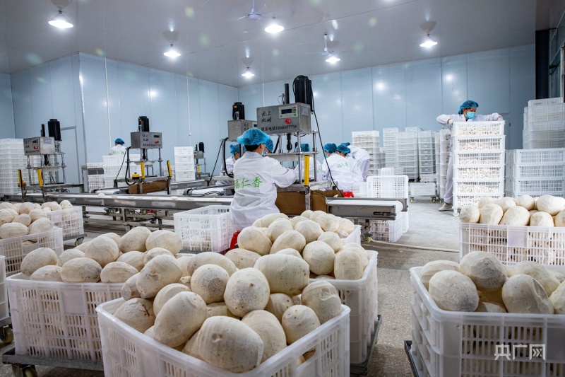 福建光澤:農產品倉儲冷鏈建設助力鄉村振興