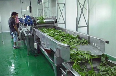 土流流轉迎來資本化高潮;農業人才短缺:智慧農業、農產品加工業