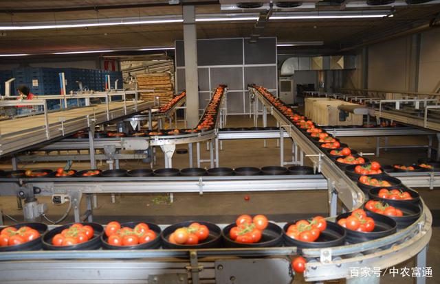 農產品加工三鏈融合發展路徑思考