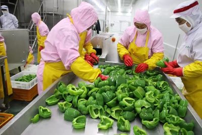 定邊探索推進村干部待遇補貼與村集體經濟收益掛鉤新辦法