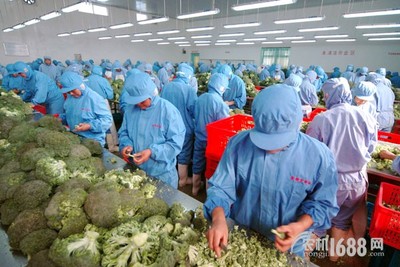 農產品初加工設施3年獲補16億