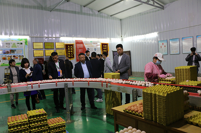 蒲城縣農業農村局組織開展“黃河流域特色農產品產地對接百家行”觀摩活動