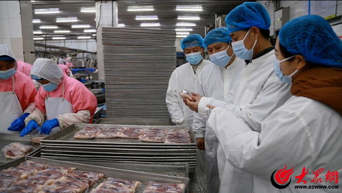 鄒平市農業農村局扎實開展農產品生產經營主體 大檢查 筑牢農產品質量安全屏障