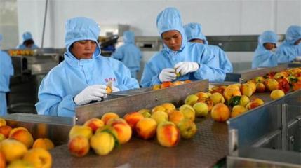 推進農產品深加工 助力脫貧攻堅