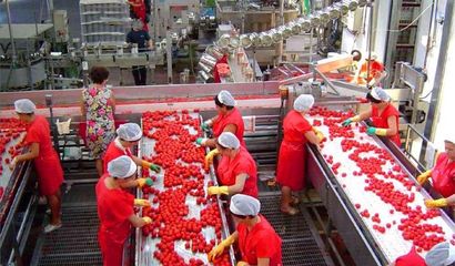 農產品批發“糙售”改“精賣”,同產量增收翻倍,農民還能拿補貼