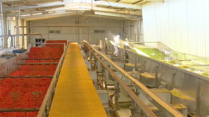 高臺:提升農產品精深加工“硬本領” 打通產業鏈塑造新優勢