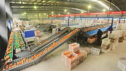 2019年發(fā)展農(nóng)產(chǎn)品加工,可以申報的補(bǔ)貼有哪些?