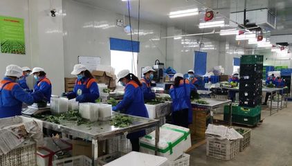 青浦:強(qiáng)化監(jiān)督檢查,多措并舉守護(hù)市民“菜籃子”