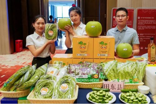 深桂攜手共建供深農(nóng)產(chǎn)品供應(yīng)鏈,以產(chǎn)業(yè)興旺助力鄉(xiāng)村振興