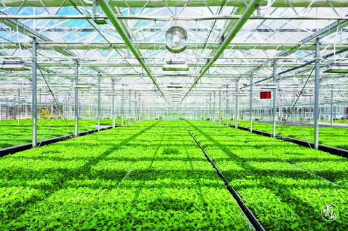 曲靖市政協(xié)到宣威調(diào)研 協(xié)商在基層 和 雙助推 示范點(diǎn)建設(shè)工作