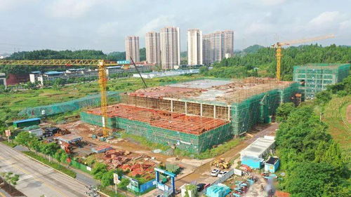 搶抓機遇 增線擴產促發展