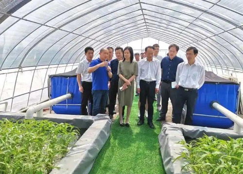 回眸2020,展望2021 太湖農業再出發