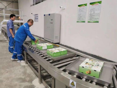 贊 近30家媒體講述中廣核對口幫扶廣西樂業致富奔小康