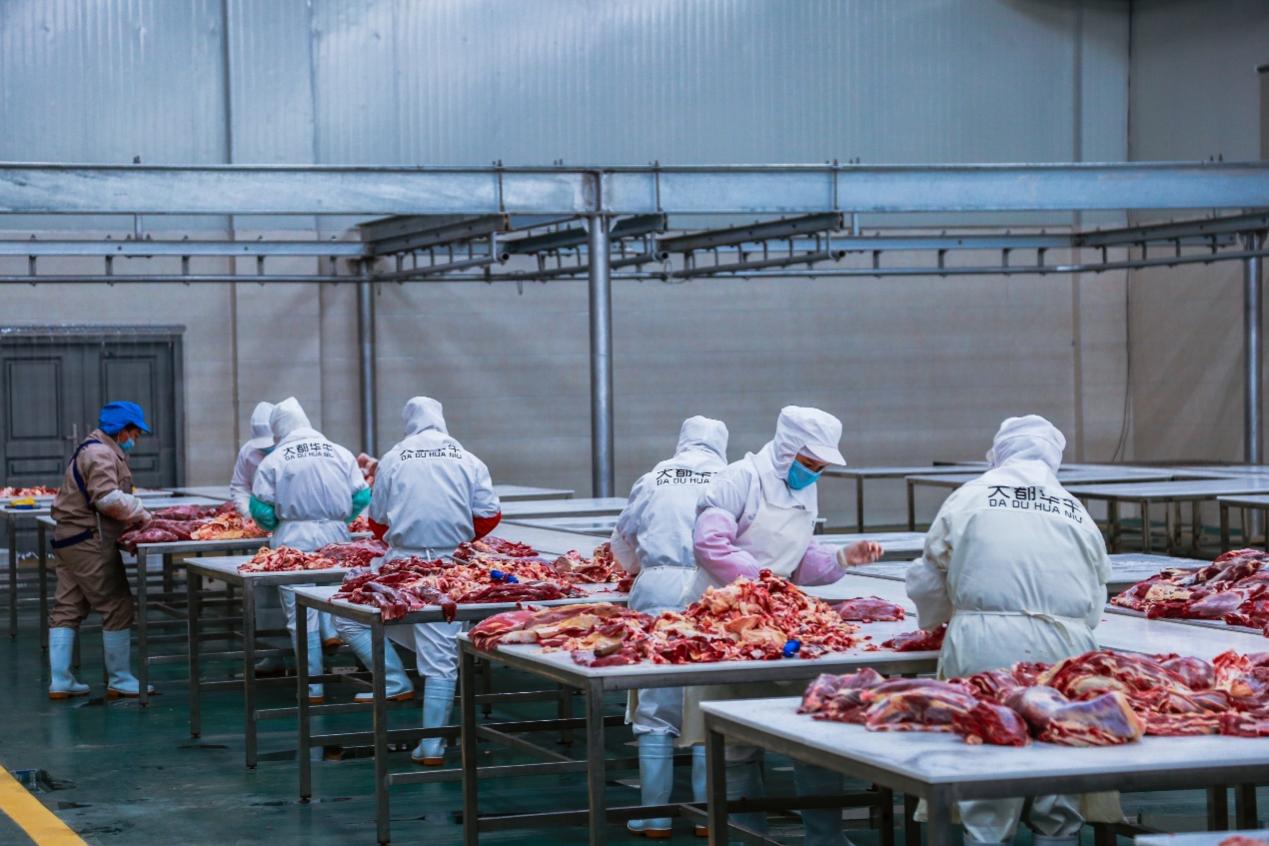 以標準化和品牌化賦能生產加工,粵桂協作提升農產品附加值_深圳新聞網