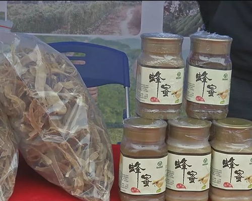 電商農產品商紛紛借互聯網 農產品采購會推介自己
