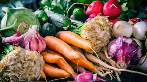 反季節農產品安全嗎 種蔬菜能不用農藥嗎 這些真相你一定也好奇很久了