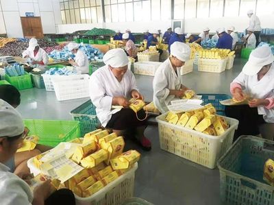 保山市農產品加工業邁上高質量發展新臺階