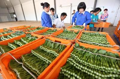 美麗蝶變看紅河