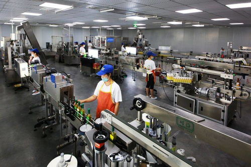 永川區創建農產品供應鏈示范區打通農商互聯路徑