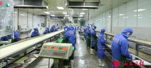 打響汕尾特色品牌 我市大力推進預制菜產業高質量發展透視