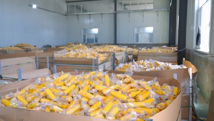 縣域商業體系建設項目 實現“工業品下鄉 農產品進城”