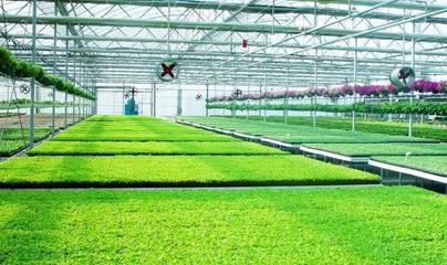 政策:推動農產品加工裝備創新;農產品價值鏈來自第二、三產業