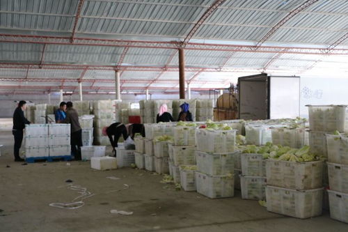 農(nóng)產(chǎn)品產(chǎn)地初加工項(xiàng)目助力富民成效顯著