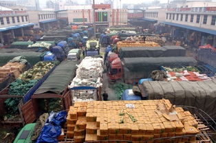 長(zhǎng)沙市農(nóng)產(chǎn)品市場(chǎng)供應(yīng)充足