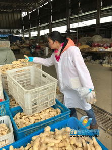 積極引導(dǎo)誠(chéng)信經(jīng)營(yíng) 通農(nóng)物流讓市民放心消費(fèi)