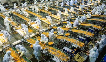 秭歸:柑橘深加工出口生產(chǎn)忙