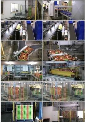 農(nóng)產(chǎn)品包裝視頻素材下載, 農(nóng)產(chǎn)品包裝AE模板下載