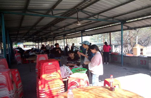 第九事業(yè)部智能產(chǎn)品部制造科一家親假日拓展活動(dòng)