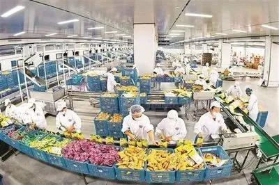 產(chǎn)業(yè)集群:我國(guó)農(nóng)產(chǎn)品加工業(yè)迎來(lái)重大機(jī)遇