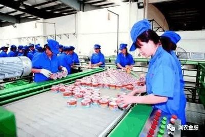 農產品加工業政策紅利多多!