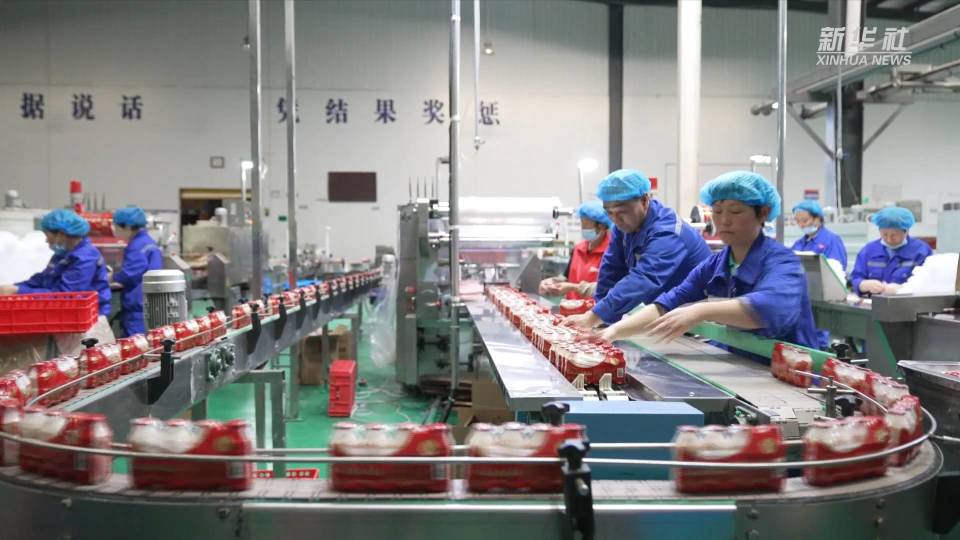 新質生產力·在一線|河南漯河:食品實驗室推動傳統企業搶占新賽道