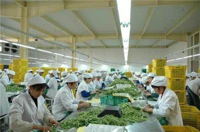 農產品加工:3大政策扶持,6大項目隱藏千萬商機!