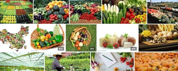 農產品怎樣利用微信小程序電商模式營銷?