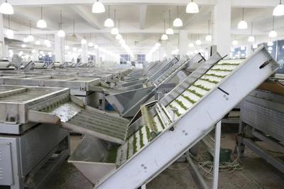 “上天入地”包農活!農業“機器換人”了解一下?