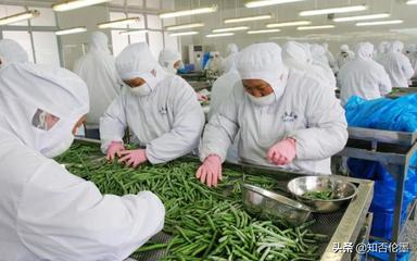 農村辦廠子有啥好項目了(農村辦廠暴利項目)