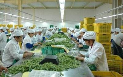 農民在外賺幾年錢,回鄉鎮創業吧,這個項目比打工收入高多了