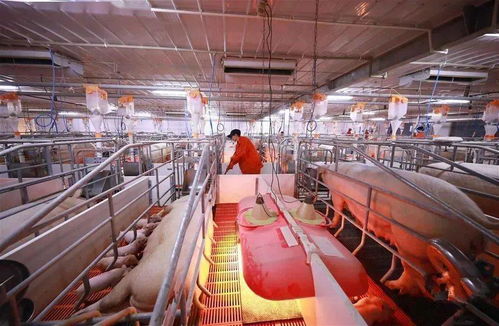 總共60家 市農業農村局公布首批長三角綠色農產品生產加工供應示范基地