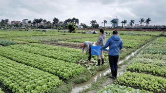 南海區人民政府門戶網站