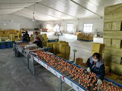 “ 甘味”農產品企業商標品牌