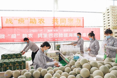 阿里巴巴發布“愛心助農”計劃,搶收滯銷農產品直供北上廣