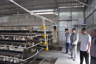 紅河州農業局開展2018年中秋國慶農業安全生產暨農產品質量安全專項督查